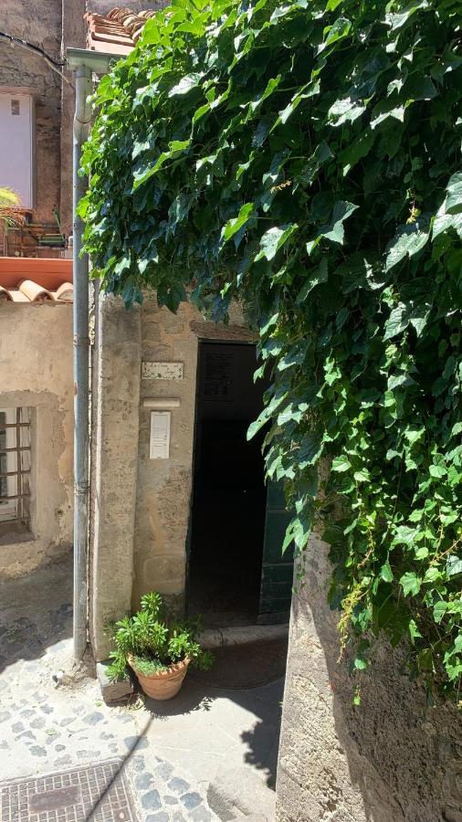 La Casa sul Lago Anguillara Sabazia Esterno foto