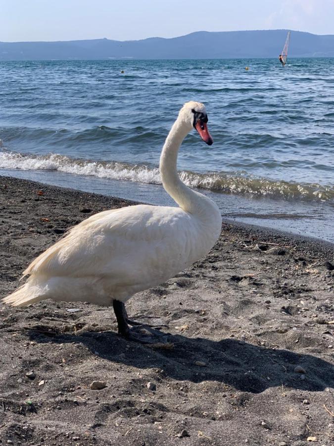 La Casa sul Lago Anguillara Sabazia Esterno foto